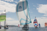prime cut gbr3709 whyw16 mon 700 1199w